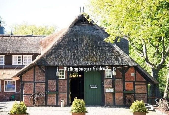Bild 55