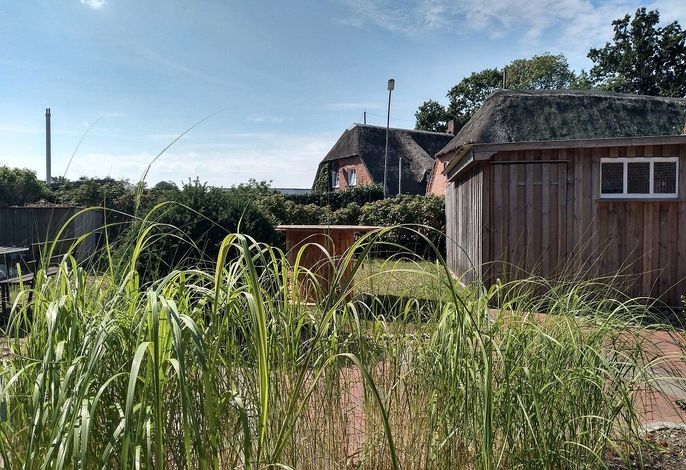 Bild 14
