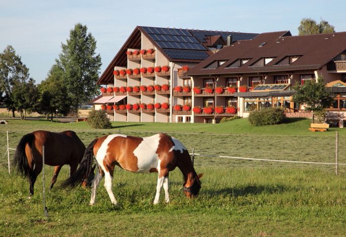 Bild 13
