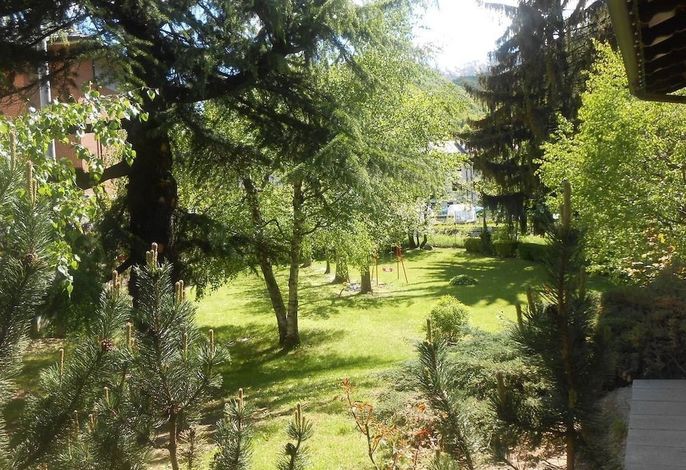 Bild 19