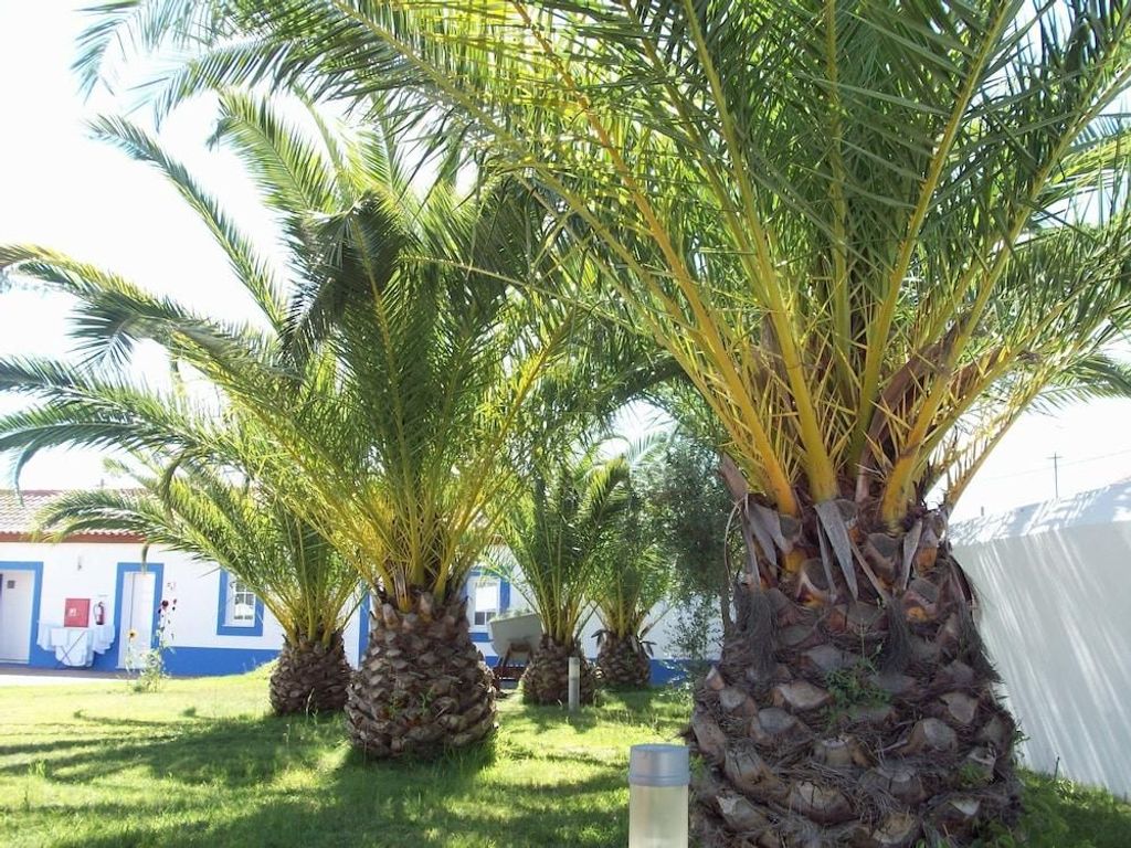 Santa Bárbara dos Mineiros - Hotel Rural