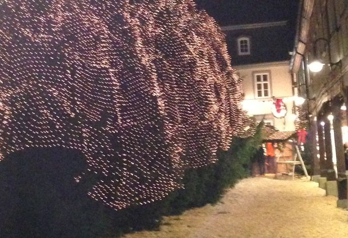 Bild 13