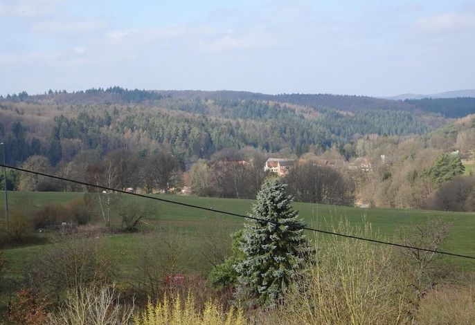 Bild 7