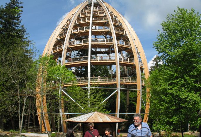 Bild 16