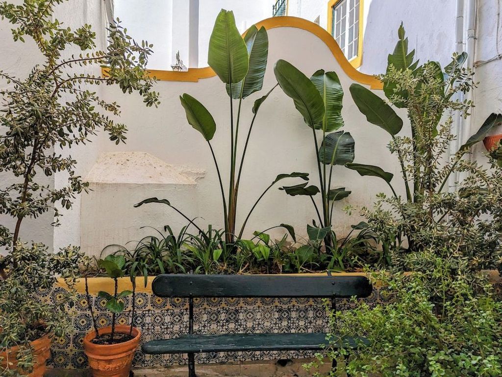 Hotel Solar De Monfalim