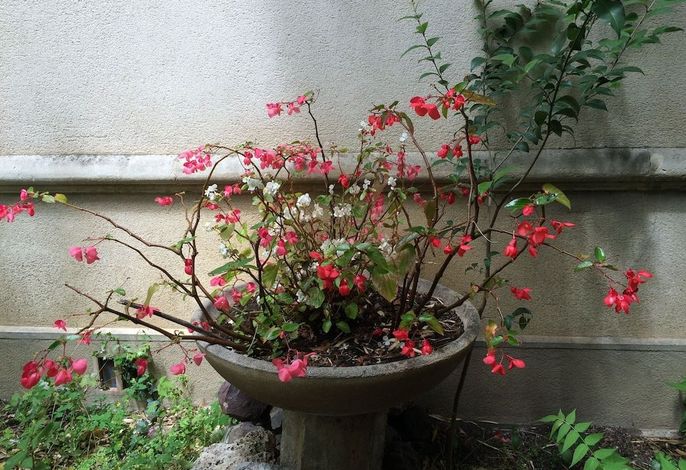 Bild 14