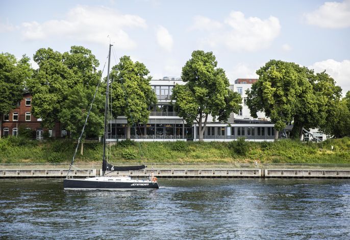 Bild 12