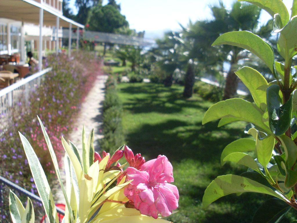 Kaunos Hotel