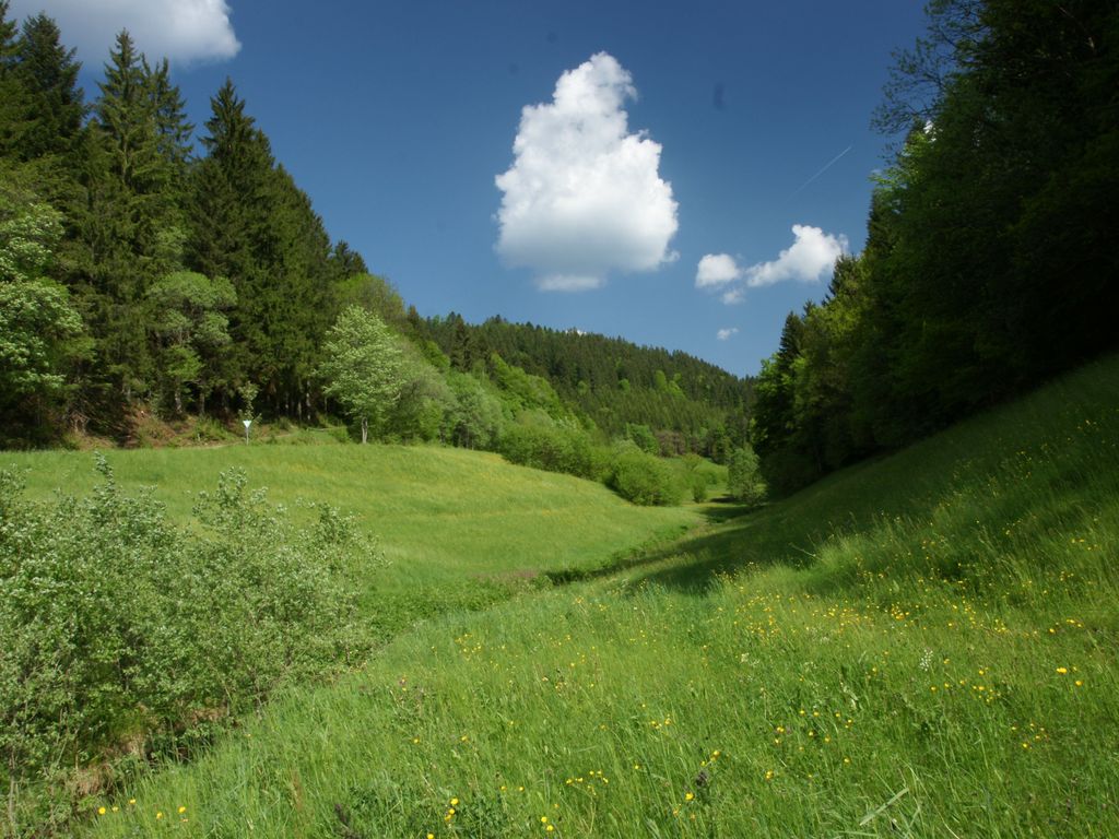 Gasthof Ochsen