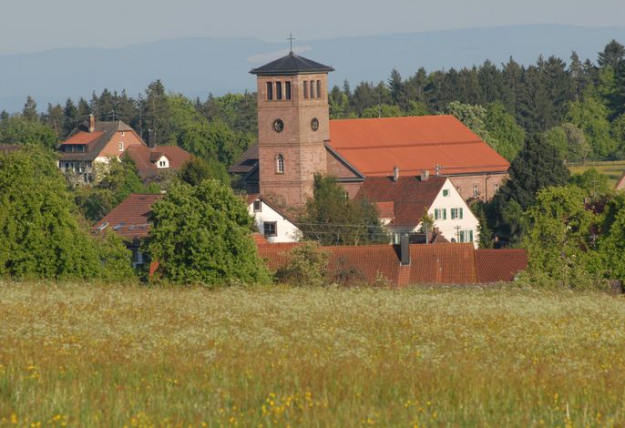 Bild 11