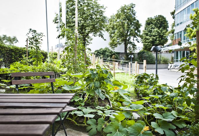 Bild 19
