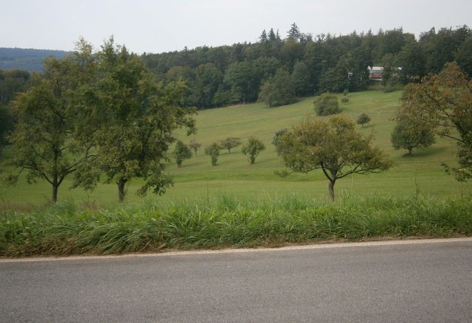 Bild 15