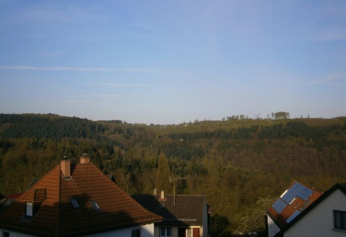 Bild 17