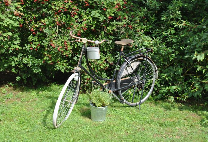 Bild 19
