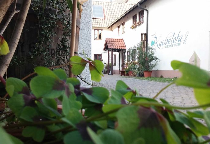 Bild 6