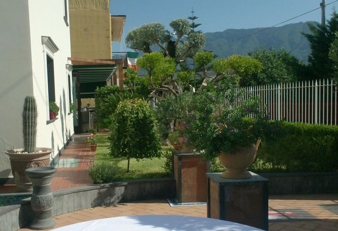 Bild 14