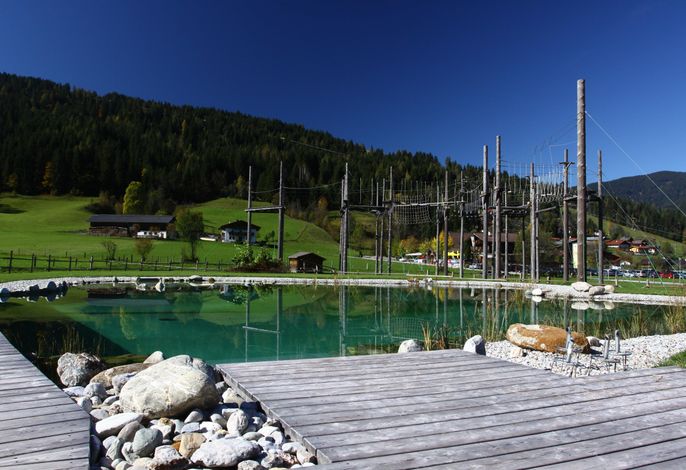 Bild 19