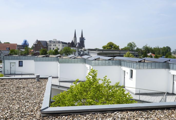 Bild 19