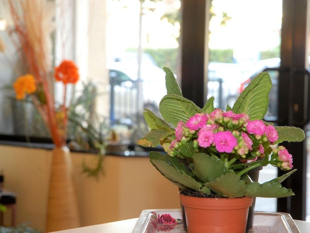 Hotel Provenza