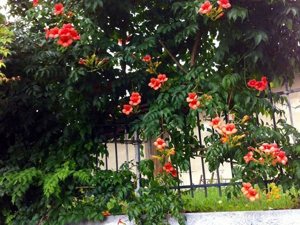 Hotel San Francesco
