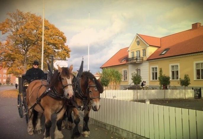 Bild 42
