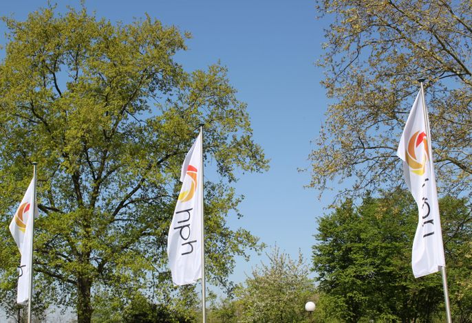 Bild 16