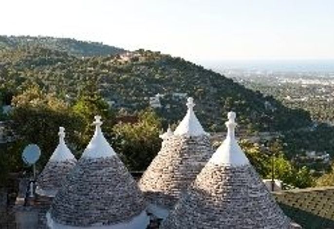Hauptbild