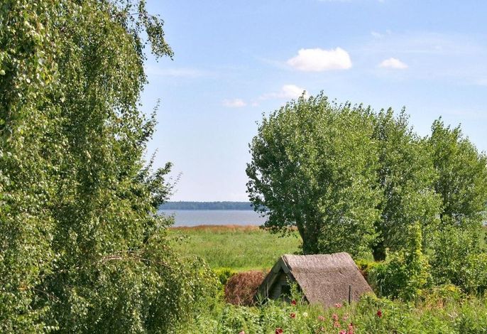 Bild 46