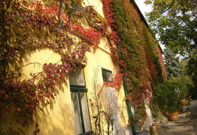 Bild 27