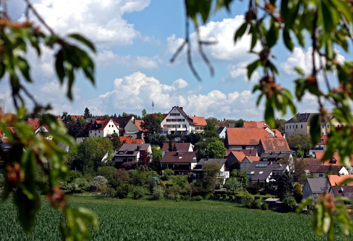 Hauptbild
