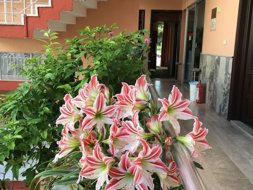 Hotel Paradise