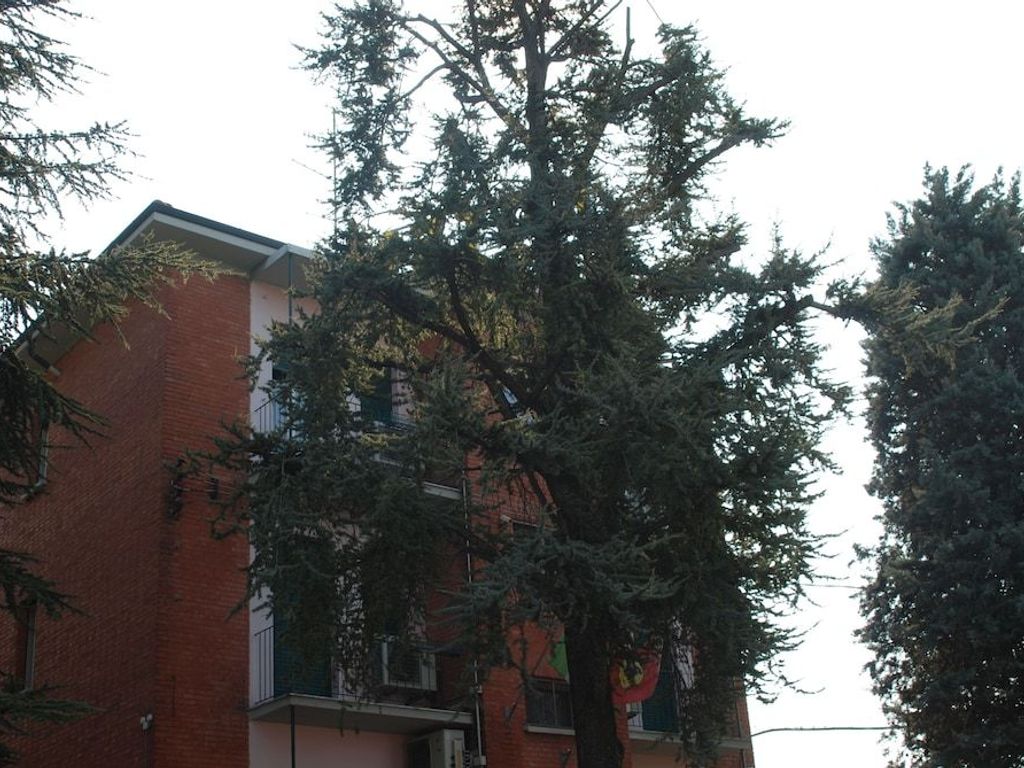 Hotel Tuscolano