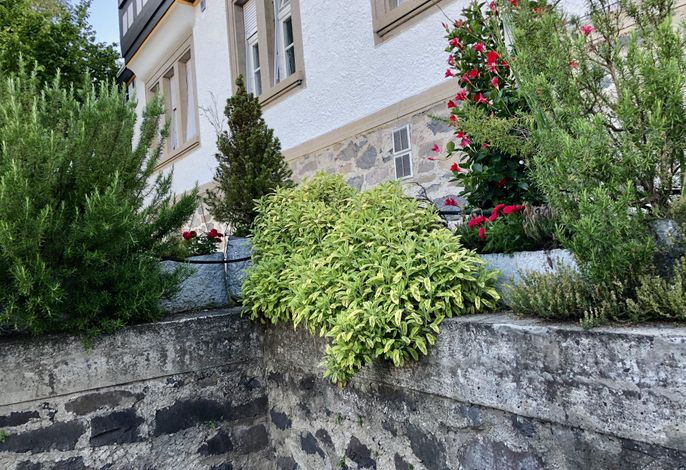 Bild 12