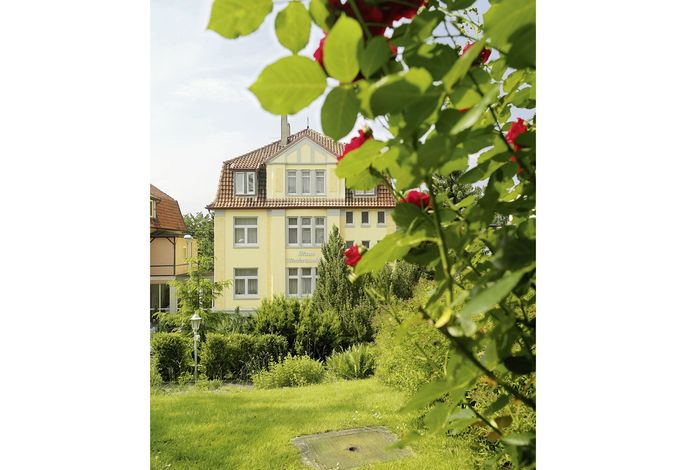 Bild 19