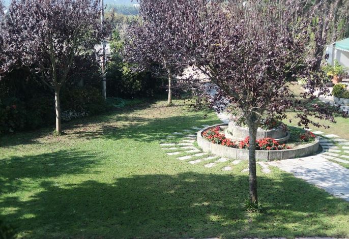 Bild 16