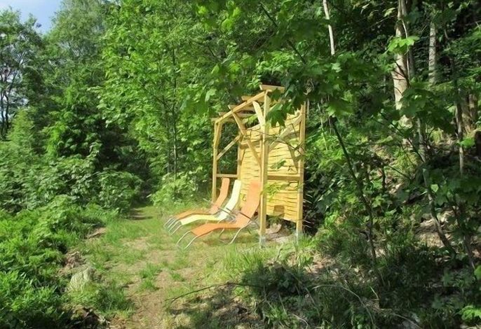 Bild 46