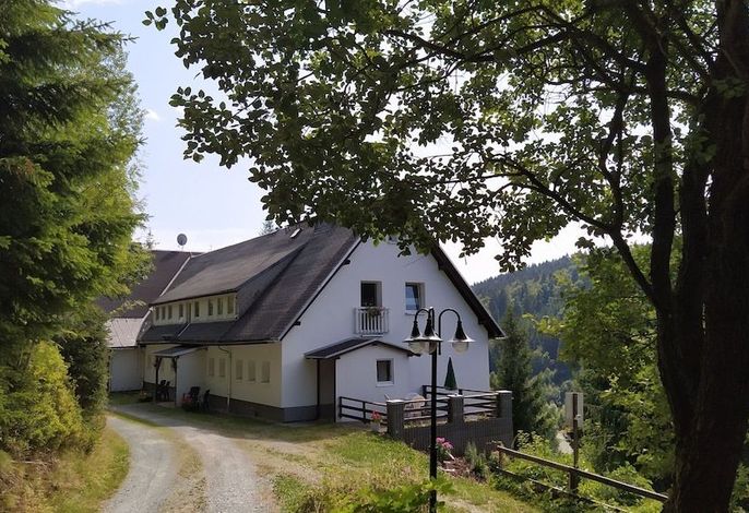 Bild 51