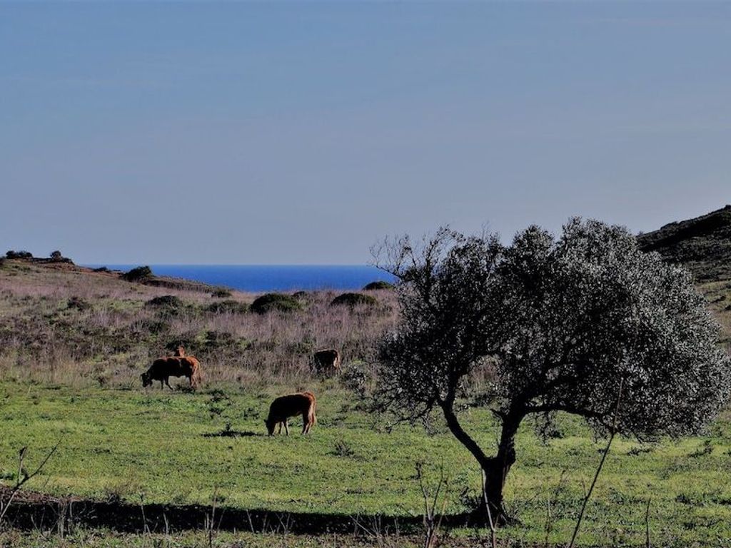 Hotel Praia do Burgau - Turismo de Natureza
