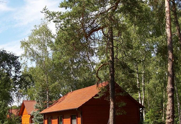 Bild 18