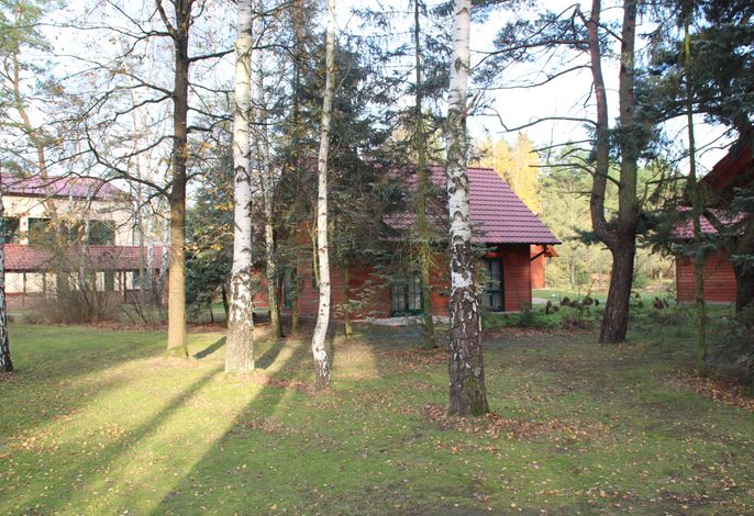 Bild 13