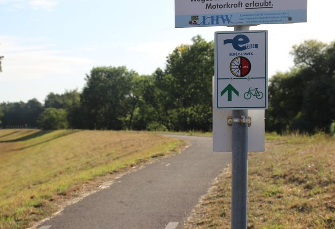 Bild 19
