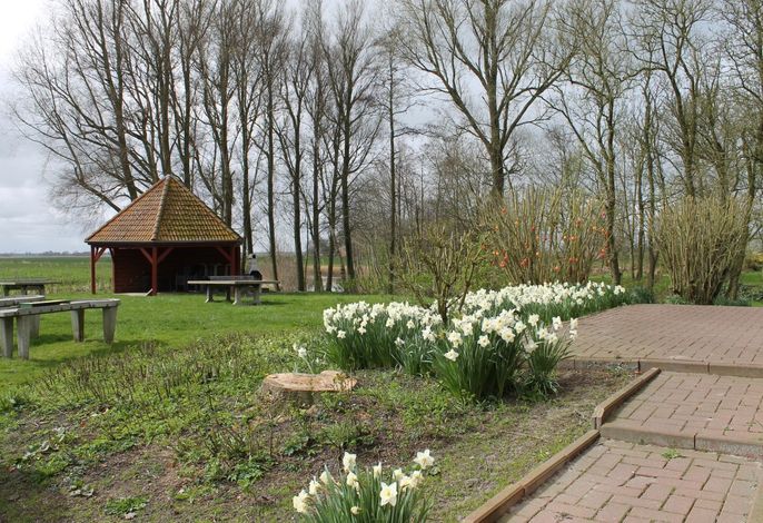 Bild 9