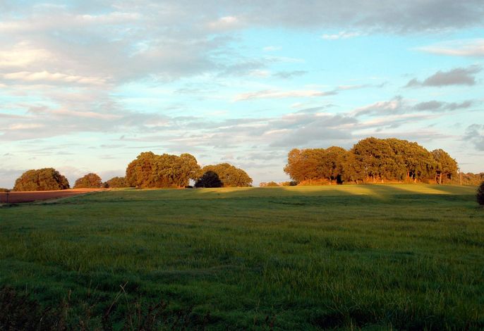 Bild 23
