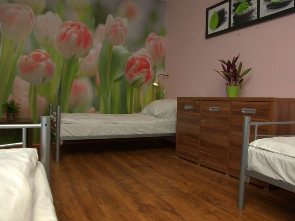 Hostel Krokodyl