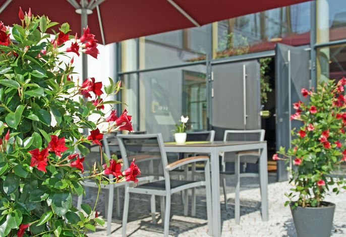 Bild 15