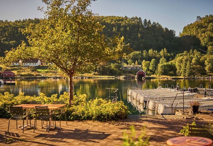 Bild 37