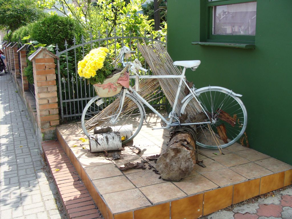 Bike Hostel&Camp