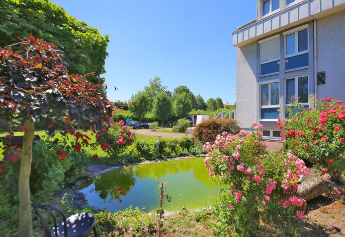 Bild 12