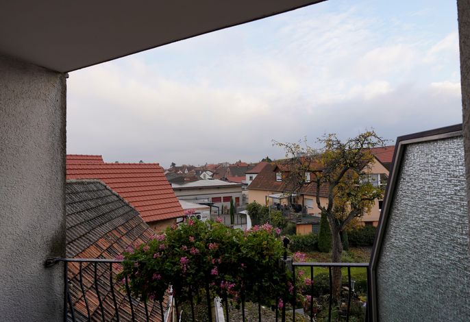 Bild 14