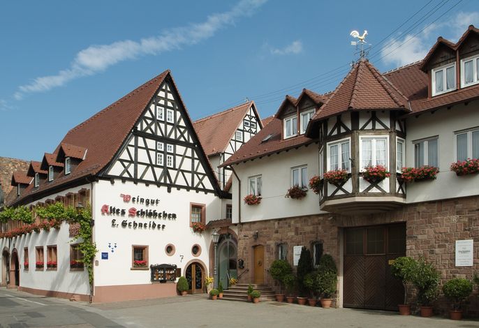 Bild 2